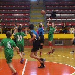 Finále Ligy škol v basketbalu