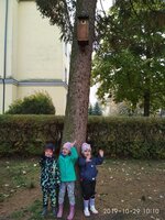 První ptačí budky (sýkorníky) již čekají na jaro
