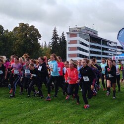 Olympiáda dětí a mládeže okresu Pardubice - přespolní běh