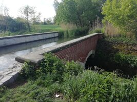 Celoškolní EVVO projekt na téma Voda - základní podmínka pro život