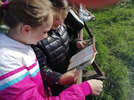 Celoškolní EVVO projekt na téma Voda - základní podmínka pro život