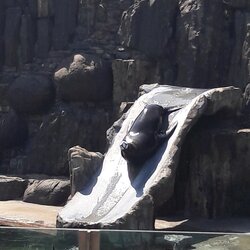 Výlet 7. A v ZOO Praha
