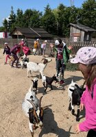 2. B v zoo