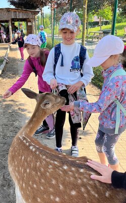 2. B v zoo