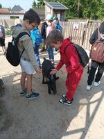 2. A v Zoo Chleby