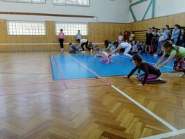 Zimní olympijské hry
