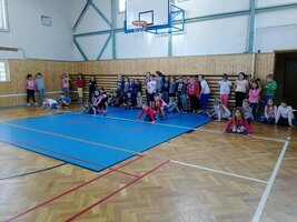 Zimní olympijské hry