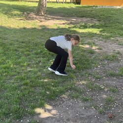 Včelí hrátky