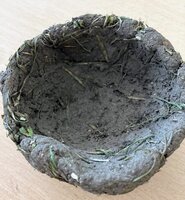 Projekt 5. B: Cesta do pravěku