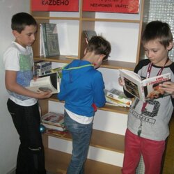 Knihovnička pro každého