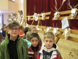 Výstava mysliveckých trofejí
