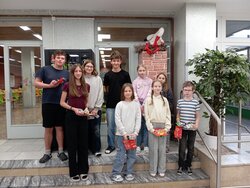 Podzimní sběr žaludů a kaštanů – vyhodnocení