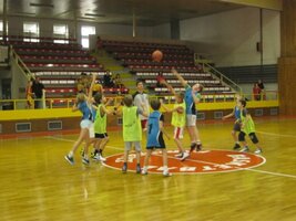 Turnaje basketbalistů