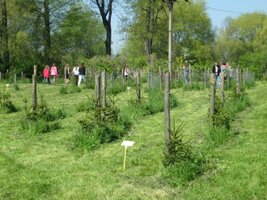 Celoškolní EVVO projekt  Les ve škole