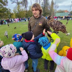 Seiferos - přehlídka dravců