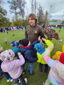 Seiferos - přehlídka dravců