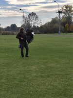 Seiferos - přehlídka dravců