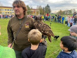 Seiferos - přehlídka dravců