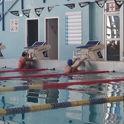 Plavecké závody - 2. stupeň - dívky