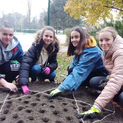 Projekt Krokus