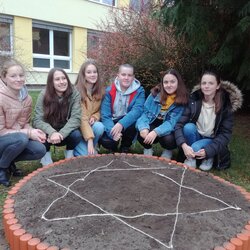 Projekt Krokus