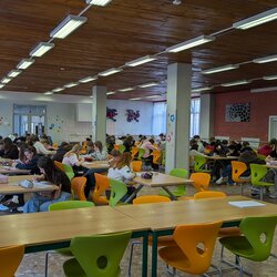 Matematický klokan 2026: Jak si vedli naši žáci?