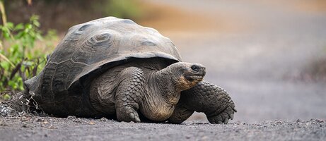 Svět kolem nás: Ekvádor  - 6. a 7. ročník 