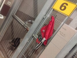 Předání darů z Vánočního bazárku