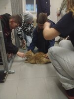 Předání darů z Vánočního bazárku