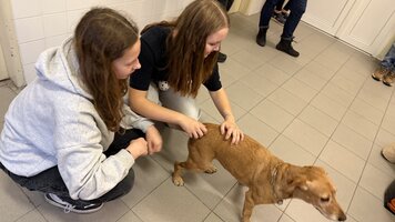 Předání darů z Vánočního bazárku