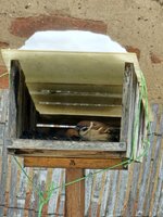 Ptačí hodinka 2026 - vyhodnocení