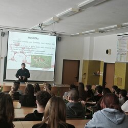 Preventivní přednáška o drogách pro 8. ročník