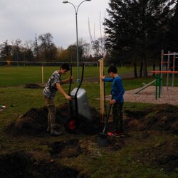 EVVO projekt - Ovocné stromy pro školáky s doplňkovou výsadbou rybízů
