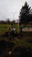 EVVO projekt - Ovocné stromy pro školáky s doplňkovou výsadbou rybízů