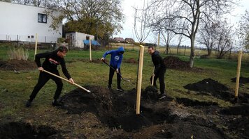 EVVO projekt - Ovocné stromy pro školáky s doplňkovou výsadbou rybízů