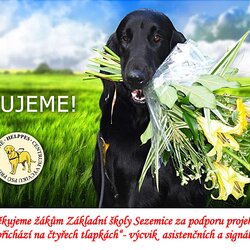 Helppes - škola pomáhá