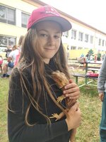 Zvířátka ve školní družině