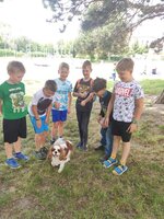 Zvířátka ve školní družině
