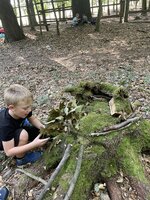 Výlety školní družiny do Vysokého Chvojna