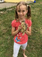 Zvířátka ve školní družině