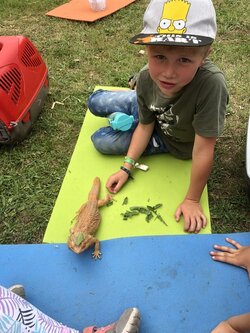 Zvířátka ve školní družině