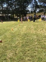 Agility Sezemice