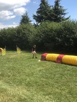 Agility Sezemice