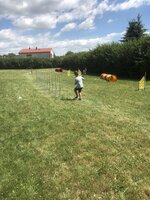 Agility Sezemice