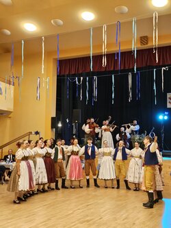 Tradiční ples Sdružení rodičů a přátel školy při Základní škole Sezemice, z. s.