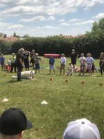 Agility Sezemice