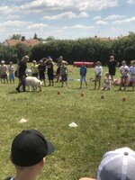Agility Sezemice