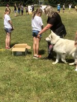 Agility Sezemice