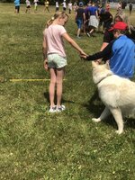 Agility Sezemice