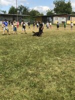 Agility Sezemice